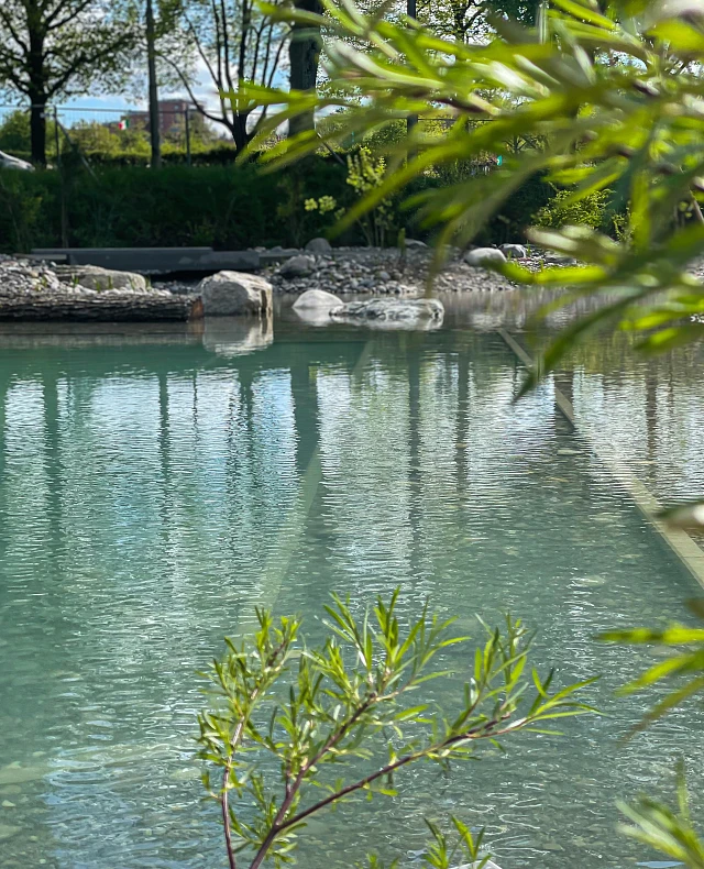 Gartenbau_Gartenunterhalt_Landschaftsbau_Bächler Güttinger_Wasser (2) Gartenbau_Gartenunterhalt_Landschaftsbau_Bächler Güttinger_Wasser (2)