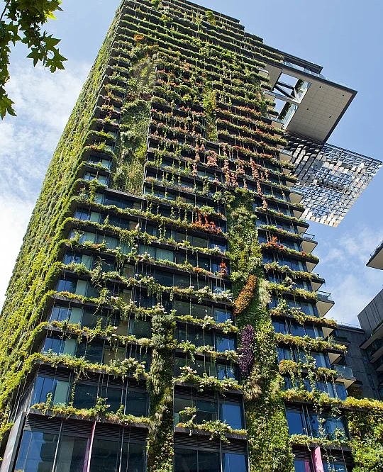 Gartenbau_Landschaftsbau_Baechler Guettinger_Gebäudebegrünung Gartenbau_Landschaftsbau_Baechler Guettinger_Gebäudebegrünung